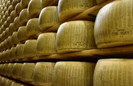  پرداخت پول با پنیر + عکس