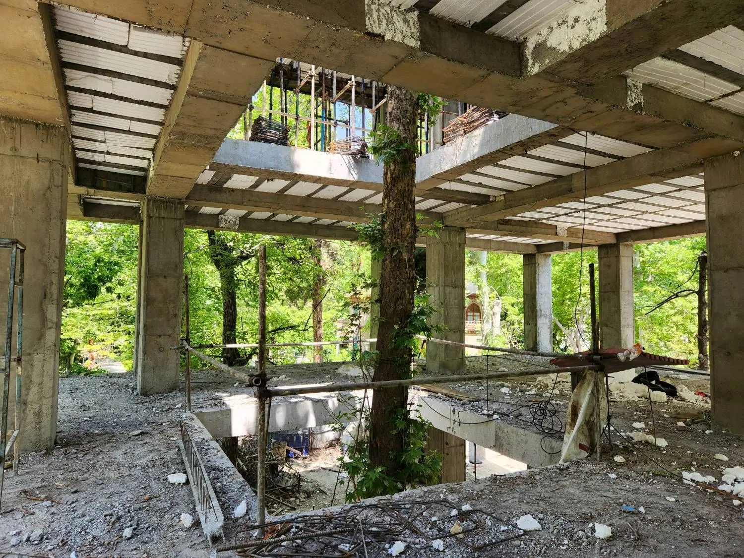 قلب ساختمانی که به نبض سبز درخت می تپد

