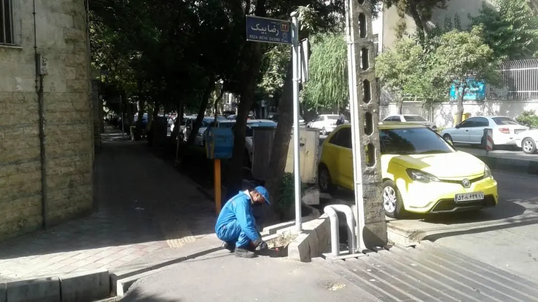 طعمه گذاری کلونی های فعال جانوران موذی در خیابان ناطق نوری 

