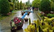 برگزاری ۲۰ عنوان دوره‌ آموزشی فضای سبز شهری و خانگی در سال گذشته

