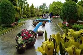 برگزاری ۲۰ عنوان دوره‌ آموزشی فضای سبز شهری و خانگی در سال گذشته

