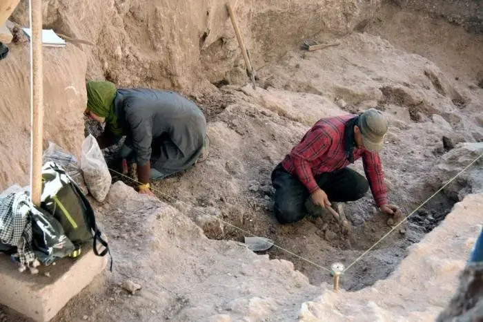 
احتمال کشف مردنمکی دیگر در معدن چهرآباد +تصاویر
