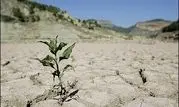 تصاویری دردناک از خشکسالی و بی آبی مردم خراسان جنوبی+عکس