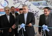 مدیری جوان و تحول گرا بر مسند بیمه "باران"