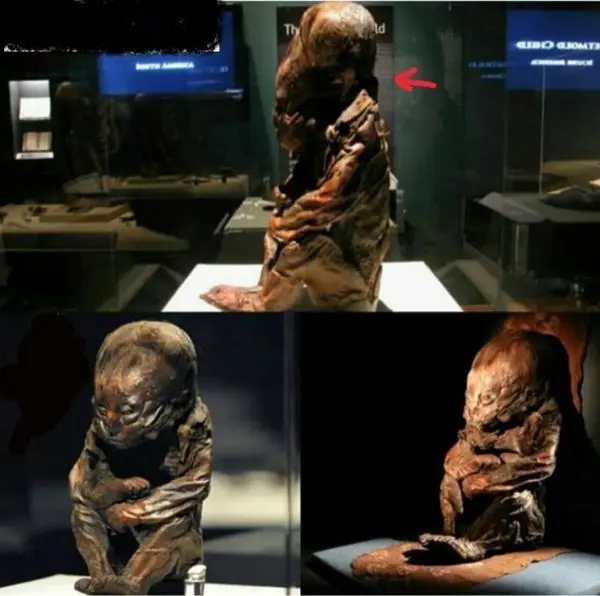 قدیمی ترین مومیایی جهان+عکس