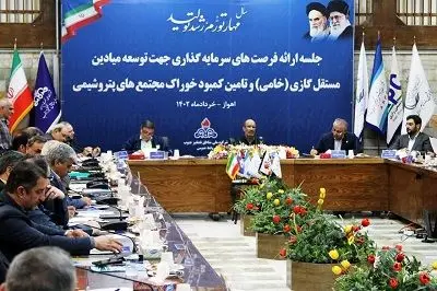 طرح توسعه و سرمایه‌گذاری ۱۶ مخزن گازی بررسی شد

