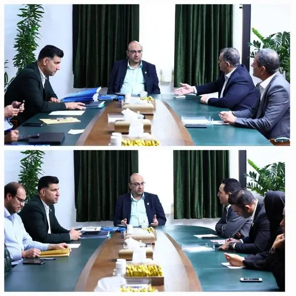 برگزاری نشست تخصصی مسئولین کمیته ملی المپیک با مسئولین کوراش و پنچاک سیلات