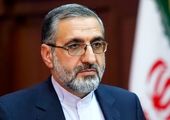 «نجفی» بخشیده شد