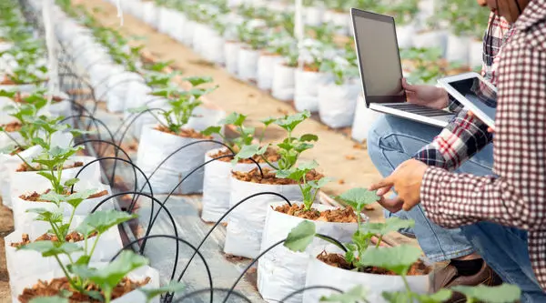 جهان اسرارآمیز اینترنت اشیاء

