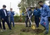مراسم کاشت درخت در محوطه پتروشیمی کارون برگزار شد