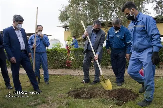 سرانه فضای سبز در مناطق نفتخیز جنوب ۳ برابر استاندارد جهانی است
