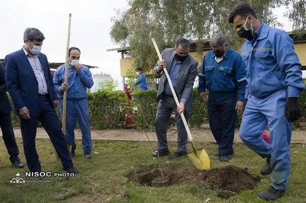 سرانه فضای سبز در مناطق نفتخیز جنوب ۳ برابر استاندارد جهانی است