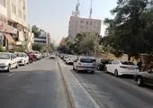 معضل پارک حاشیهای بلوار شهدای صادقیه ساماندهی شد