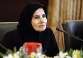 دولت از نقد همراه با پیشنهاد عملی استقبال می کند