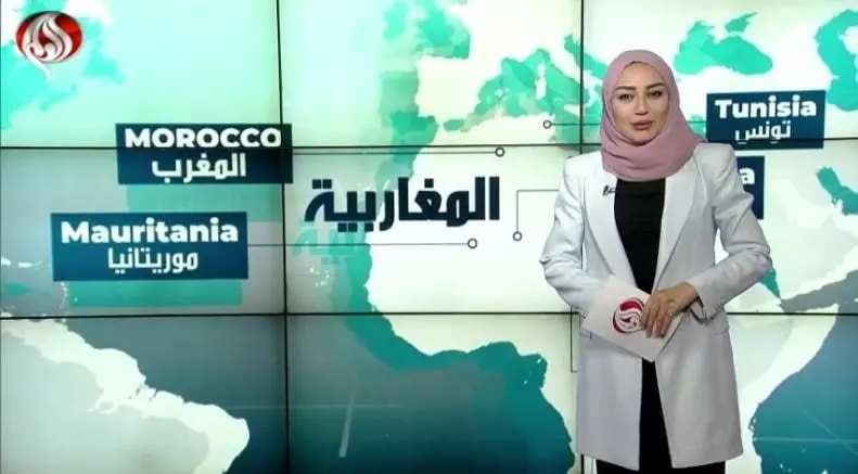 همبستگی گسترده ی مردم کشورهای شمال آفریقا با مقاومت فلسطین

