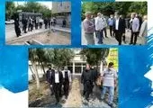  پاکسازی فضاهای سبز منطقه 15 از علف های هرز 