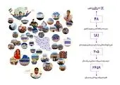اعتماد سازی بانک توسعه تعاون برای مشارکت آحاد مردم در مسیر جهش تولید

