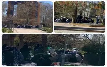شمیم معطر نمازجماعت در سالروز شهادت مولای متقیان در بوستان های منطقه 4