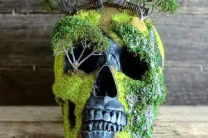 تزیین جالب و عجیب جمجمه انسان+عکس