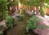 ۲ میلیون و ۸۰۰ هزار قطعه جوجه‌ ریزی ماهانه در استان مرکزی انجام می‌شود