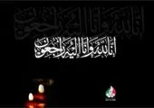 کمیته ملی المپیک افتخار آفرینی تیم ملی کشتی آزاد در رقابتهای جهانی نروژ را تبریک گفت
