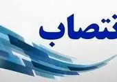 امضای قرارداد نیروگاه هزار مگاواتی خورشیدی توسط مدیرعامل مشعل پویا

