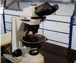 جهان زیر میکروسکوپ چه شکلی است؟ + عکس