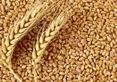  دریافت تندیس طلایی جایزه ملی حسابرسی داخلی ایران توسط بانک سامان