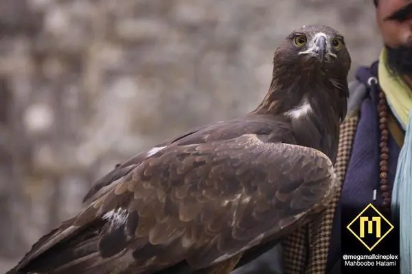 حضور جنجالی رضا یزدانی و عقابش در اکران مردمی+ عکس