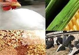 سامانه بازارگاه، تسهیل کننده توزیع نهاده های دامی

