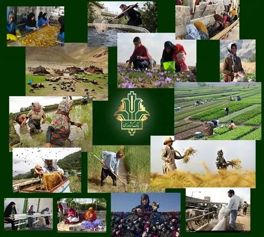 جذب 100درصدی اعتبار تبصره 18 توسط بانک کشاورزی برای تامین مالی طرح های اشتغالزا

