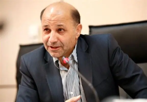 بیش از ۸۰ درصد پتروشیمیها دولتی هستند