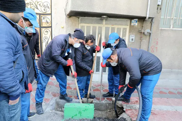 مبارزه با جانوران مضر شهری در استقبال از نوروز ۹۹