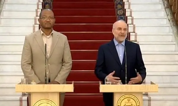 تأکید روسای مجالس ایران و اتیوپی بر گسترش روابط اقتصادی