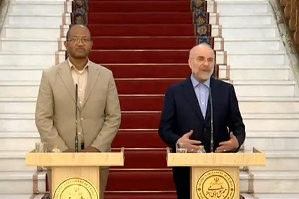 تأکید روسای مجالس ایران و اتیوپی بر گسترش روابط اقتصادی