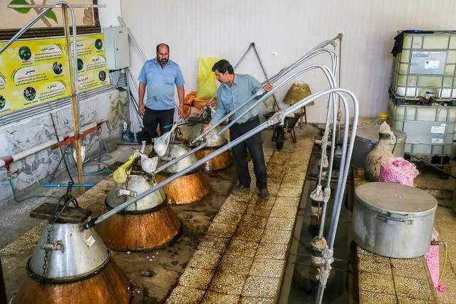 نوزدهمین جشنواره گل و گلاب در دریاچه شهدای خلیج فارس

