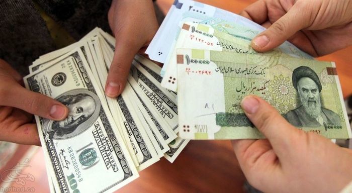 اشتباه بانک‌ها دلار را به گاوصندوق مردم برد/ گوش شنوایی برای پیامک‌های ارزی وجود ندارد 