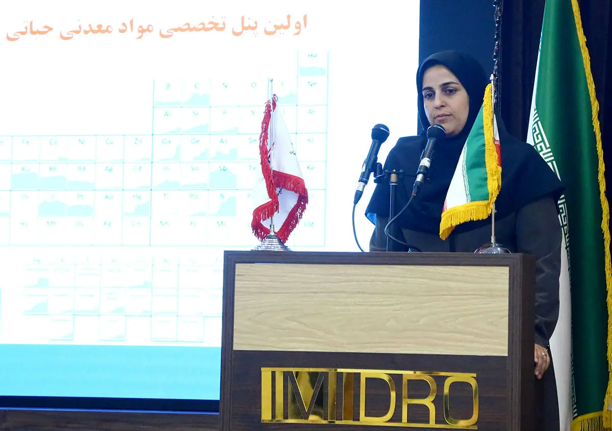 نخستین پنل تخصصی مواد معدنی حیاتی و راهبردی در ایمیدرو برگزار شد
