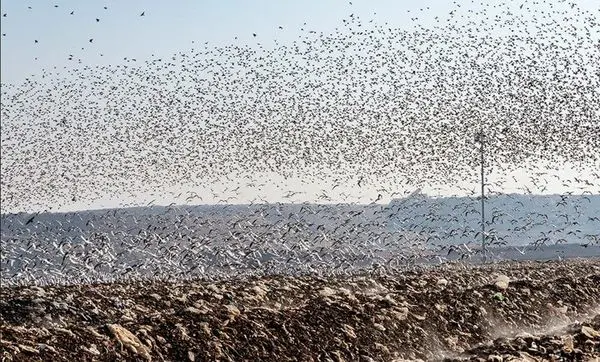 برنامه ای برای مدیریت، نه فقط جمع آوری