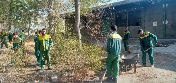 بهبود و بازپیرایی 12 هزار متر مربع از فضای سبز مجموعه ساصد

