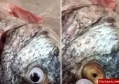 حیله یک ماهی‌فروش برای تازه نشان دادن ماهی +عکس 