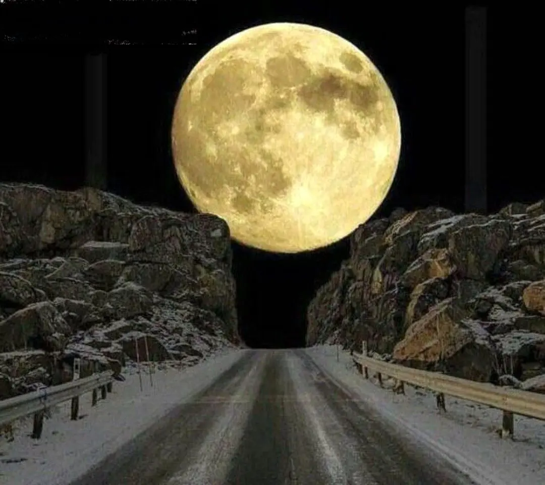 زیباترین سفر جاده ای+عکس