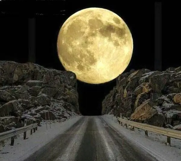 زیباترین سفر جاده ای+عکس