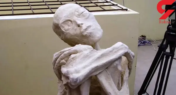 مومیایی کشف شده انسان نیست + عکس