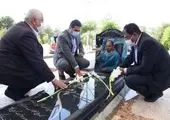 آیین تعویض پرچم مزار مطهر شهیدان گلزار شهدای بهشت زهرا(س)

