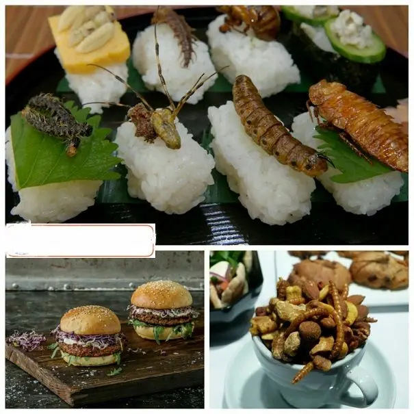 غذای لاکچری آینده کل جهان+عکس