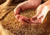 حمایت از احیای مرغ لاین آرین توسط بانک کشاورزی، گامی بلند به سوی امنیت پایدار غذایی

