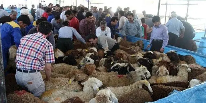 فراهم شدن مقدمات جایگاه عرضه و ذبح بهداشتی دام در منطقه ۲۲