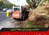 جمع آوری 6 هزار سرویس خاک و نخاله از محدوده منطقه 15