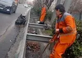 اجرای طرح جهادی پاکسازی محور اجتماع بزرگ امام رضایی ها در میدان ولیعصر 

